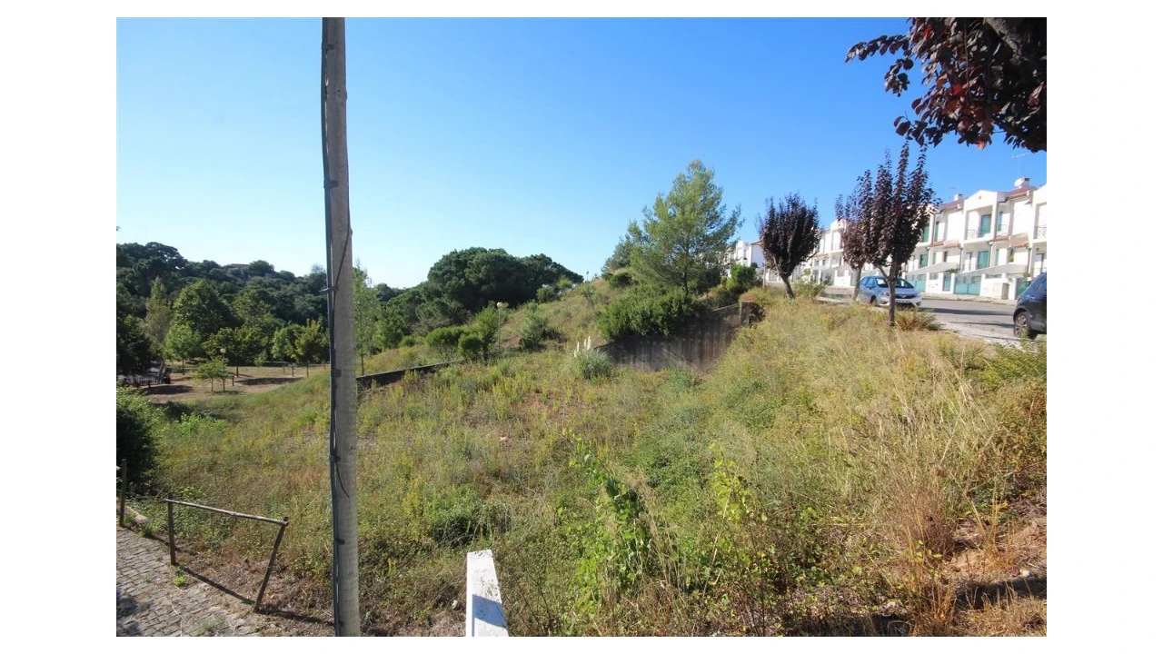 Terreno para Venda em Eiras e São Paulo de Frades Foto 3