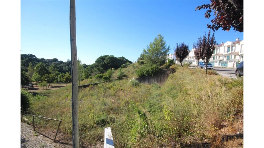 Terreno para Venda em Eiras e São Paulo de Frades Foto 3