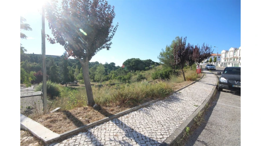 Terreno para Venda em Eiras e São Paulo de Frades Foto 6