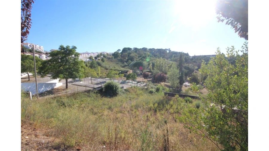 Terreno para Venda em Eiras e São Paulo de Frades Foto 2