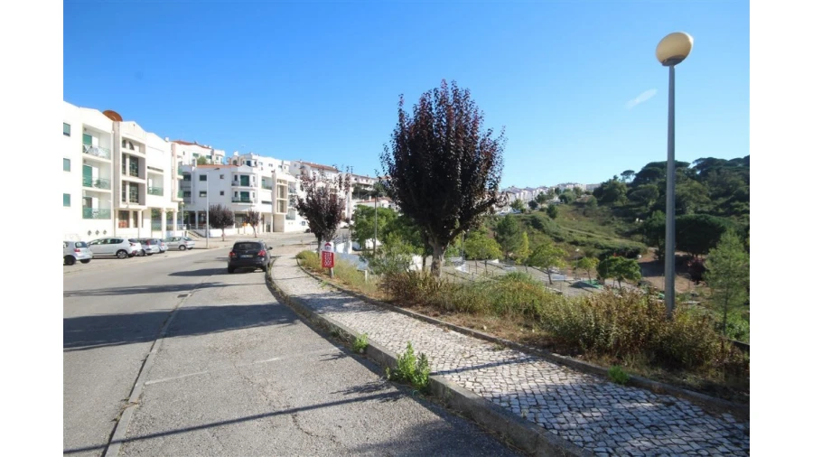 Terreno para Venda em Eiras e São Paulo de Frades Foto 5