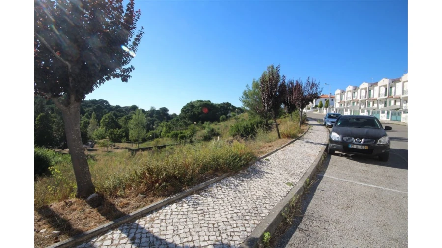 Terreno para Venda em Eiras e São Paulo de Frades Foto 4