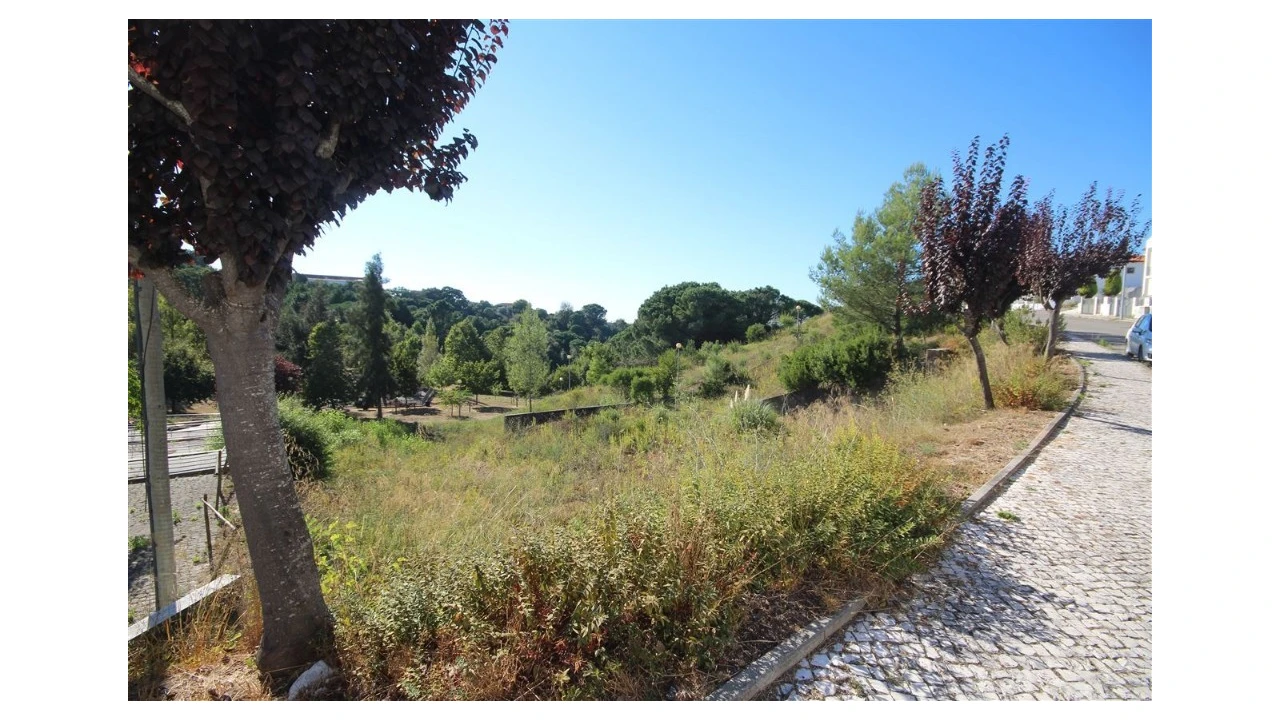 Terreno para Venda em Eiras e São Paulo de Frades Foto 1