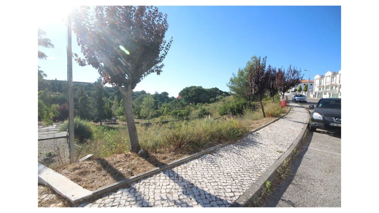 Terreno para Venda em Eiras e São Paulo de Frades Foto 6