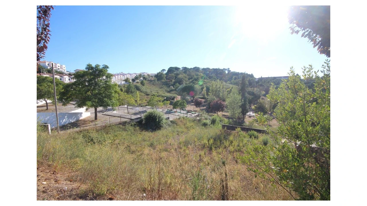 Terreno para Venda em Eiras e São Paulo de Frades Foto 2