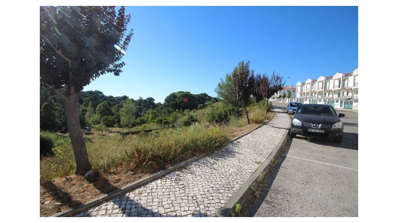 Terreno para Venda em Eiras e São Paulo de Frades Foto 4