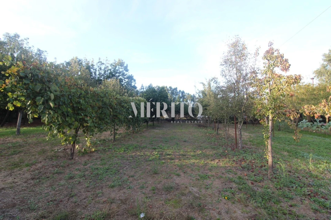 Moradia T3 para Venda em Areias Foto 27