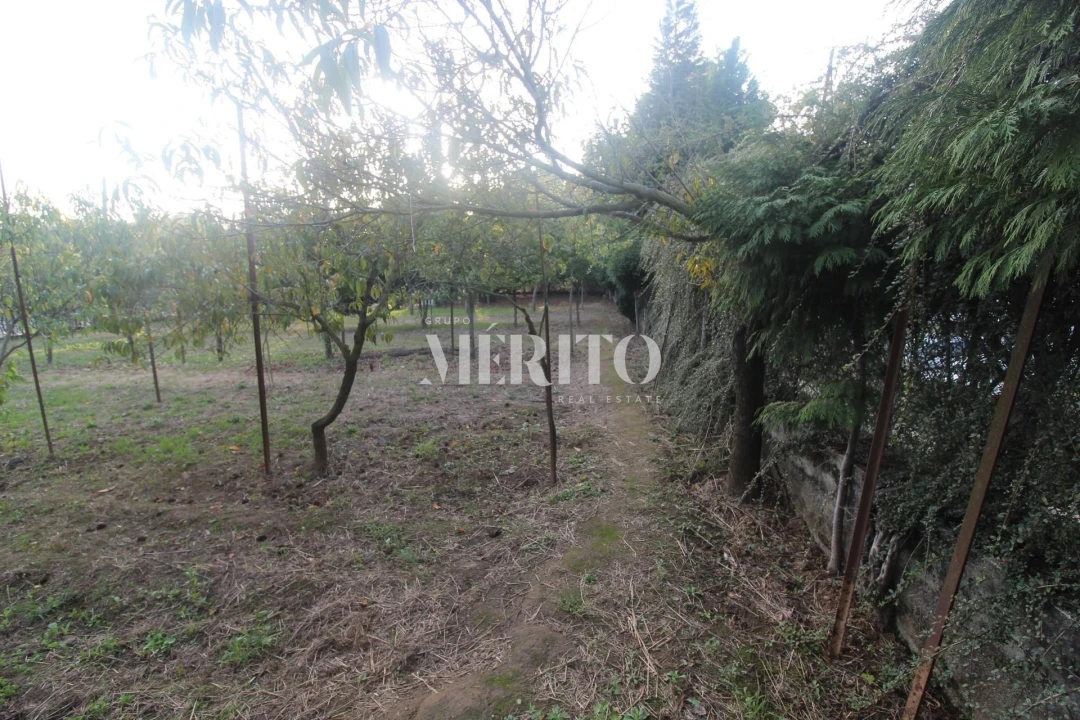 Moradia T3 para Venda em Areias Foto 23