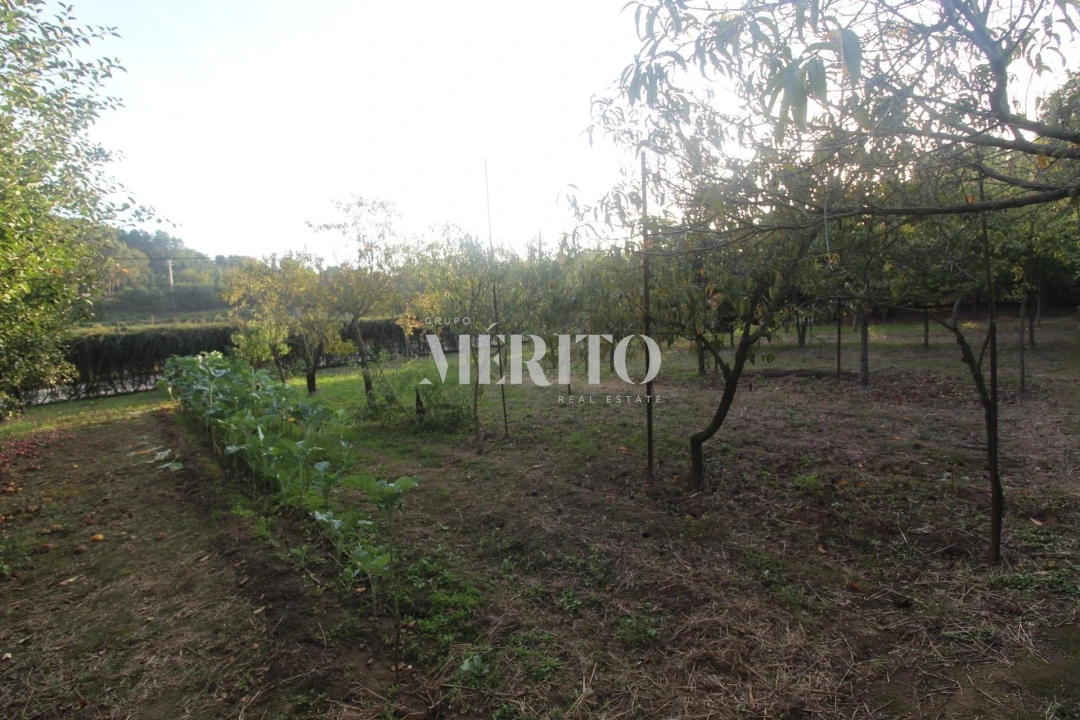 Moradia T3 para Venda em Areias Foto 24