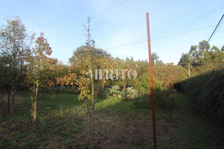 Moradia T3 para Venda em Areias Foto 28