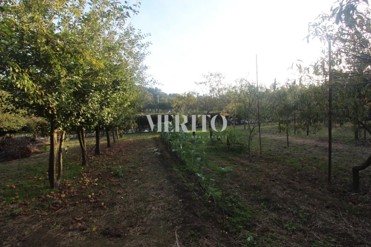 Moradia T3 para Venda em Areias Foto 25