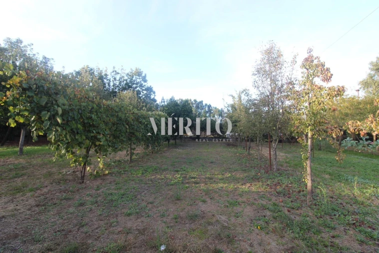 Moradia T3 para Venda em Areias Foto 27