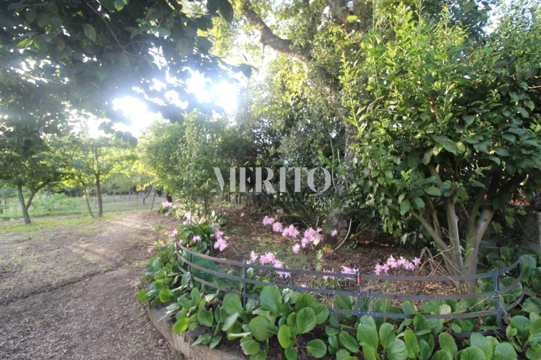 Moradia T3 para Venda em Areias Foto 21