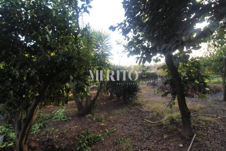 Moradia T3 para Venda em Areias Foto 22