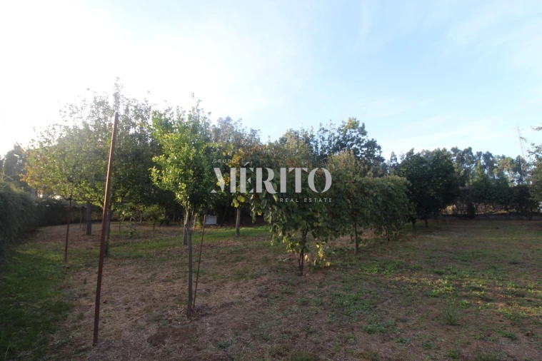 Moradia T3 para Venda em Areias Foto 26