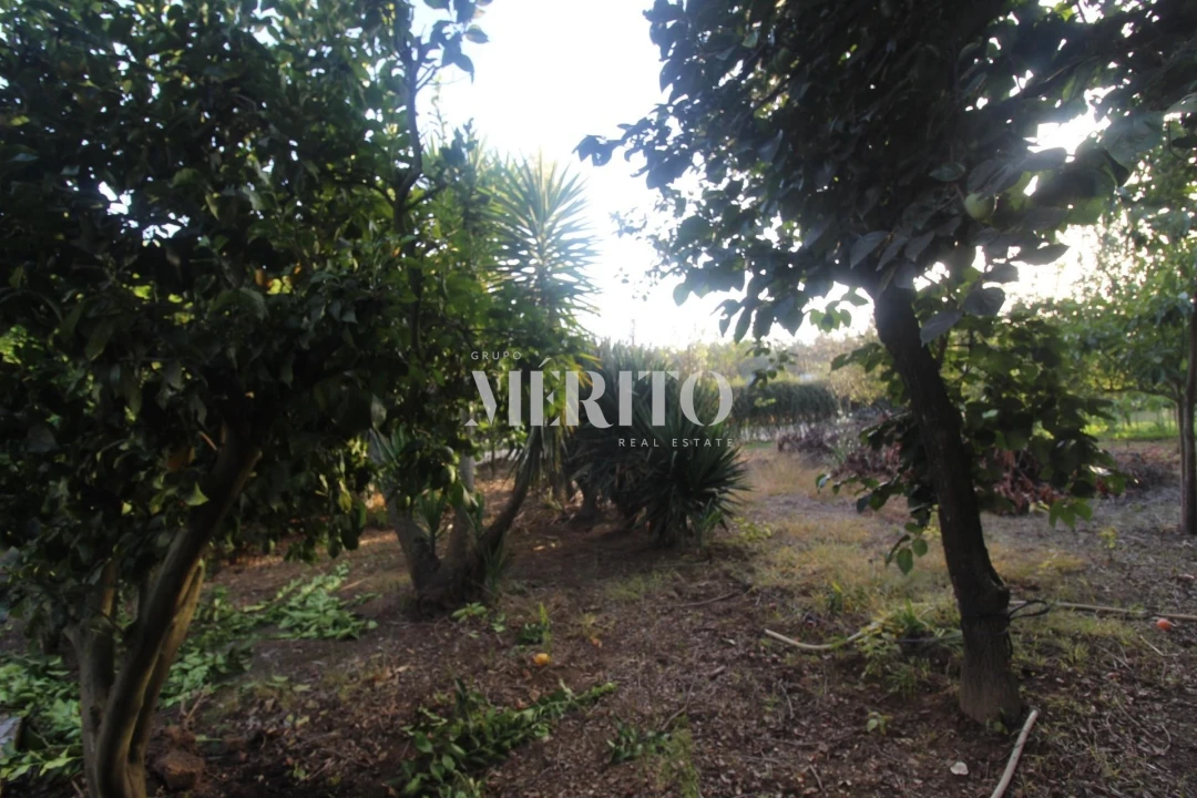 Moradia T3 para Venda em Areias Foto 22