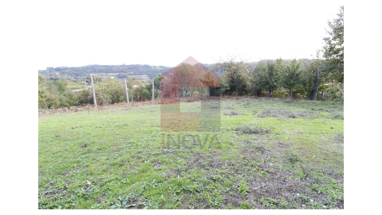 Terreno para Venda em Pico de Regalados, Gondiães e Mós Foto 1