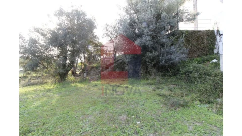 Terreno para Venda em Pico de Regalados, Gondiães e Mós