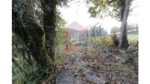 Terreno para Venda em Pico de Regalados, Gondiães e Mós