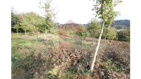 Terreno para Venda em Pico de Regalados, Gondiães e Mós