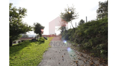Terreno para Venda em Pico de Regalados, Gondiães e Mós
