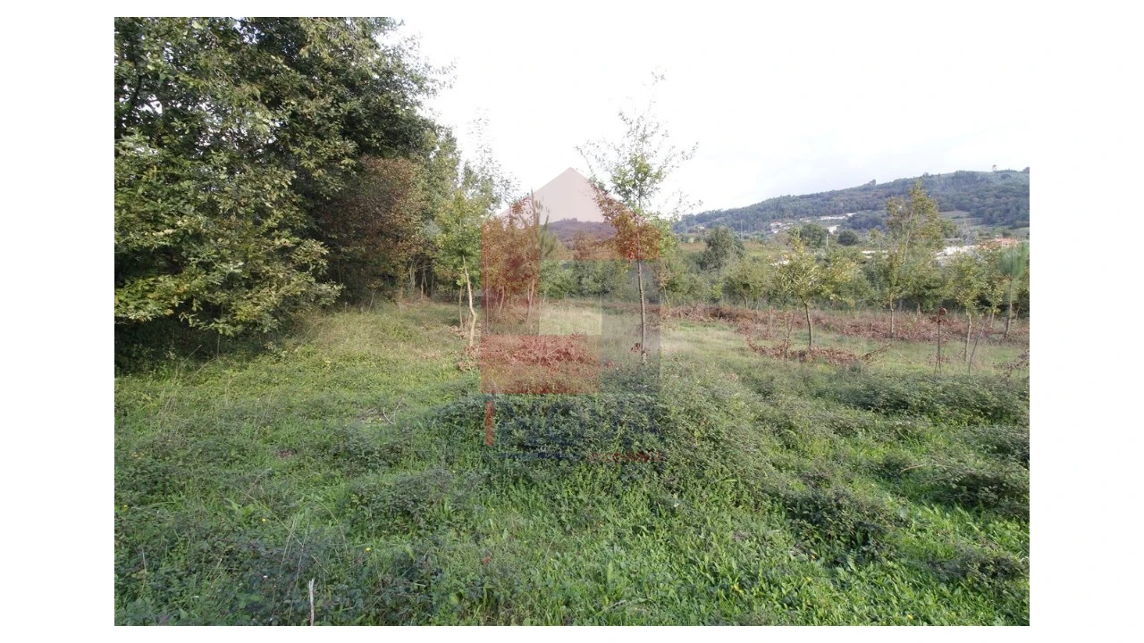 Terreno para Venda em Pico de Regalados, Gondiães e Mós Foto 2