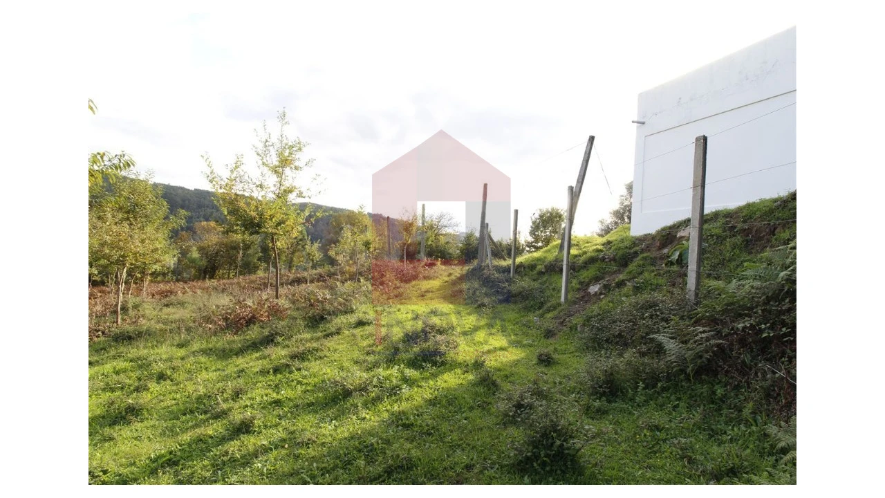 Terreno para Venda em Pico de Regalados, Gondiães e Mós Foto 5
