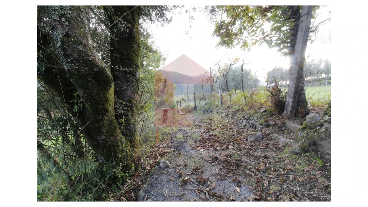 Terreno para Venda em Pico de Regalados, Gondiães e Mós Foto 7