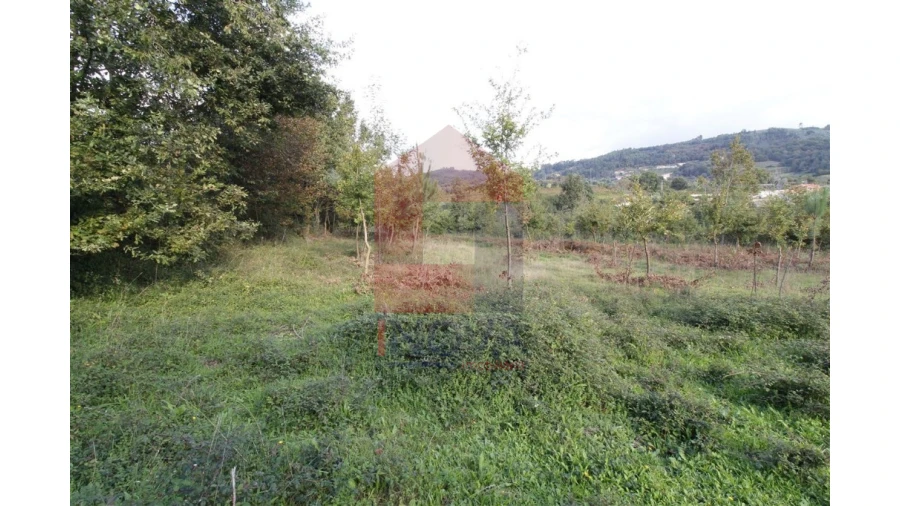 Terreno para Venda em Pico de Regalados, Gondiães e Mós Foto 2