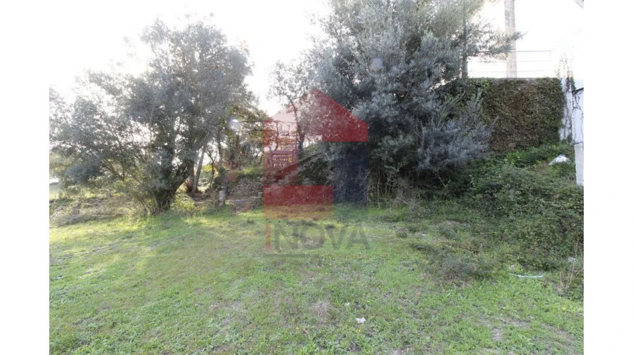 Terreno para Venda em Pico de Regalados, Gondiães e Mós Foto 3