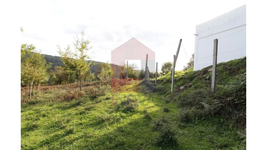 Terreno para Venda em Pico de Regalados, Gondiães e Mós Foto 5