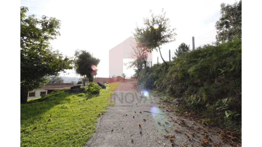 Terreno para Venda em Pico de Regalados, Gondiães e Mós Foto 9