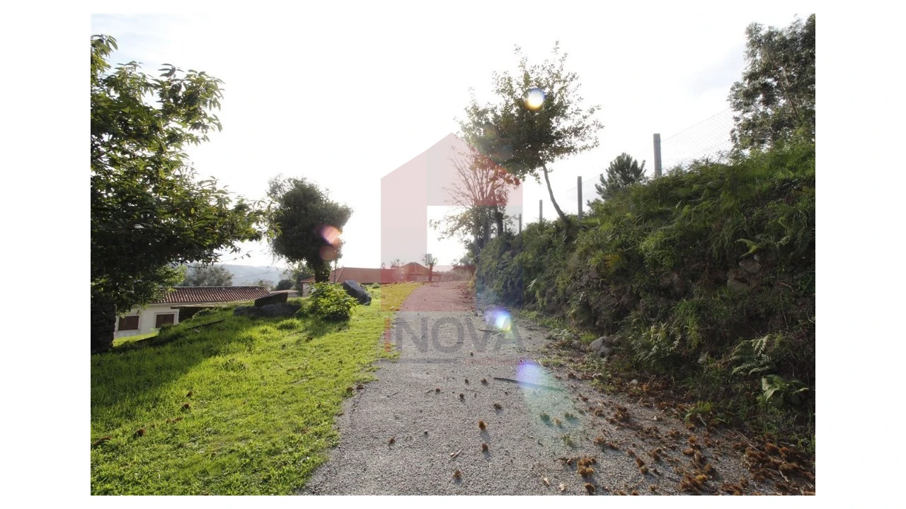 Terreno para Venda em Pico de Regalados, Gondiães e Mós Foto 9