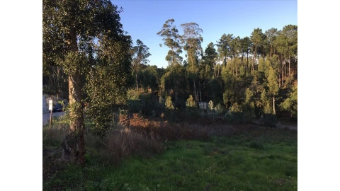Terreno para Venda em Marrazes e Barosa