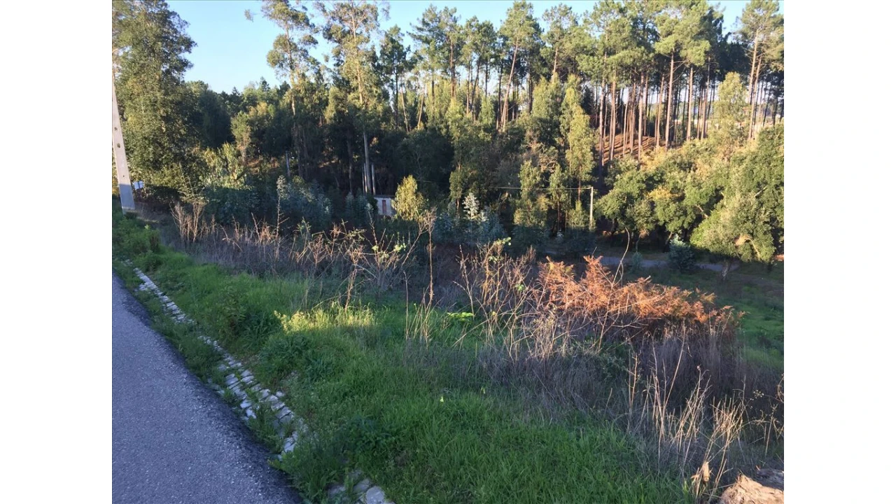 Terreno para Venda em Marrazes e Barosa Foto 1