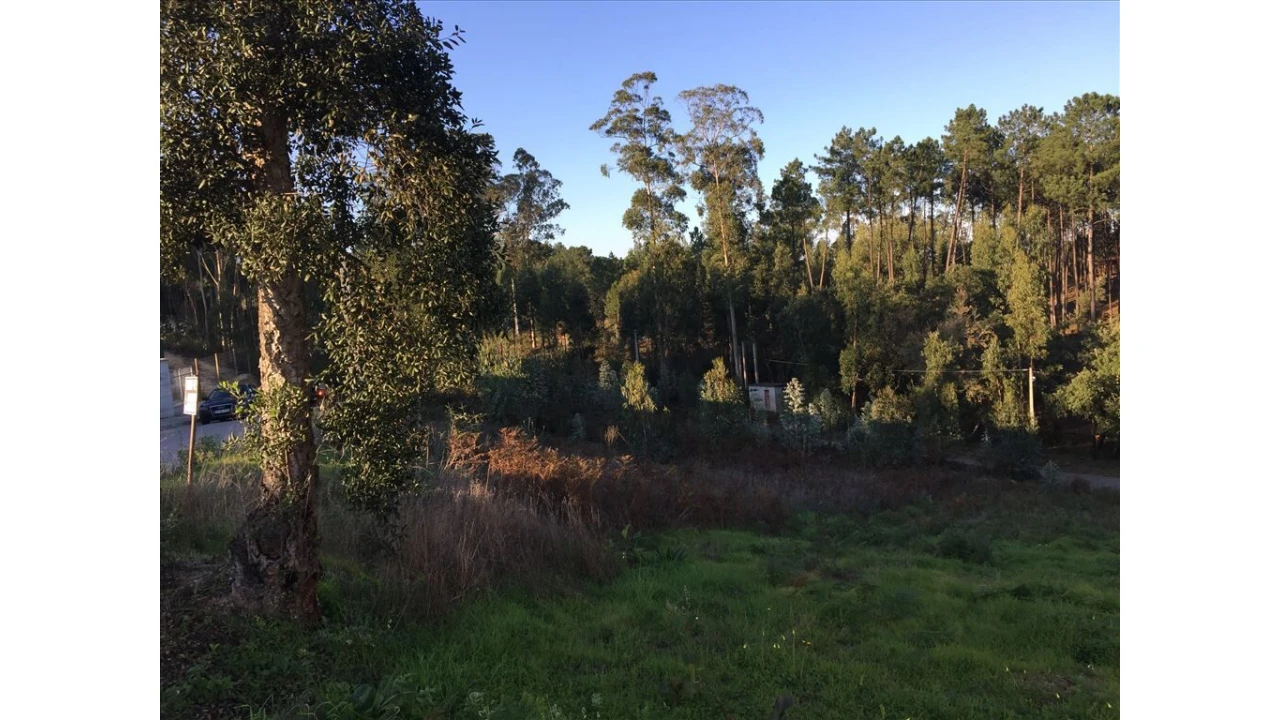 Terreno para Venda em Marrazes e Barosa Foto 2