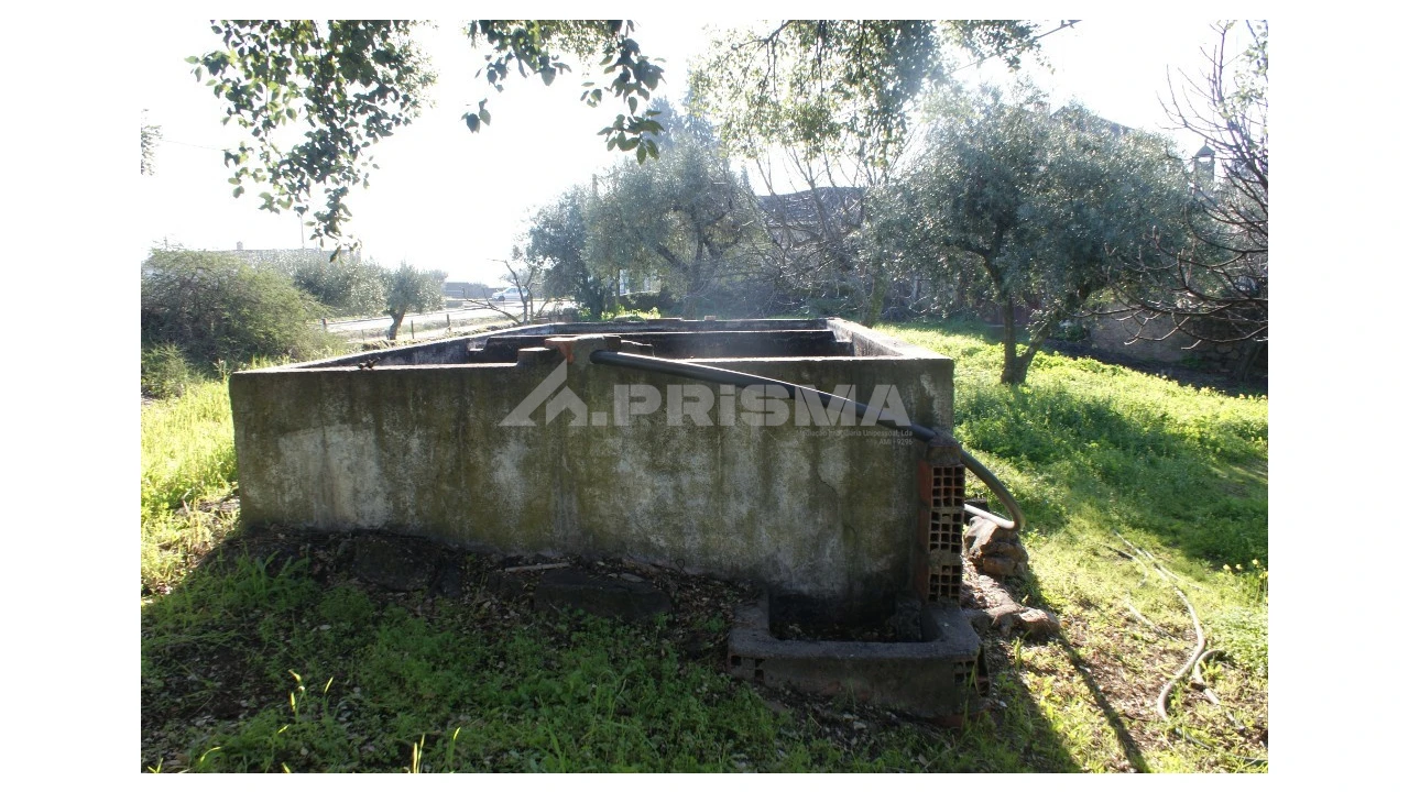 Quinta para Venda em Castelo Branco Foto 13