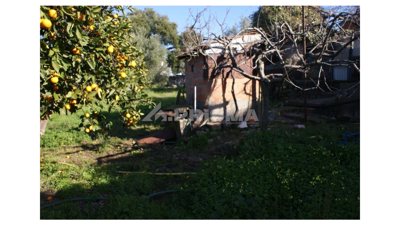 Quinta para Venda em Castelo Branco Foto 5