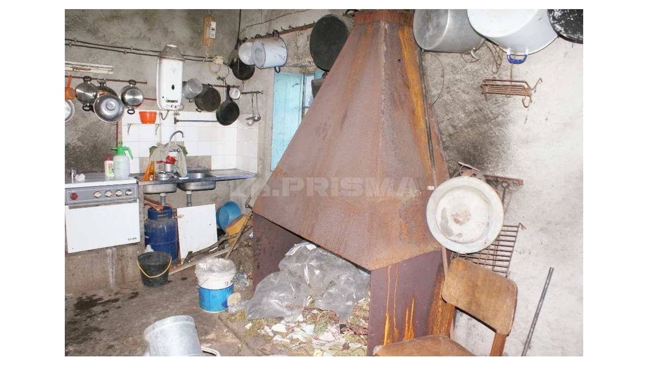 Quinta para Venda em Castelo Branco Foto 29