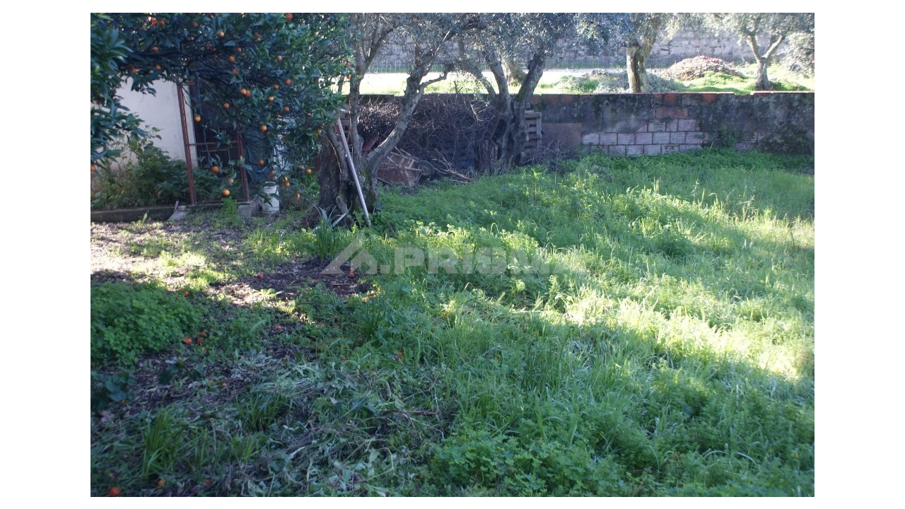Quinta para Venda em Castelo Branco Foto 2