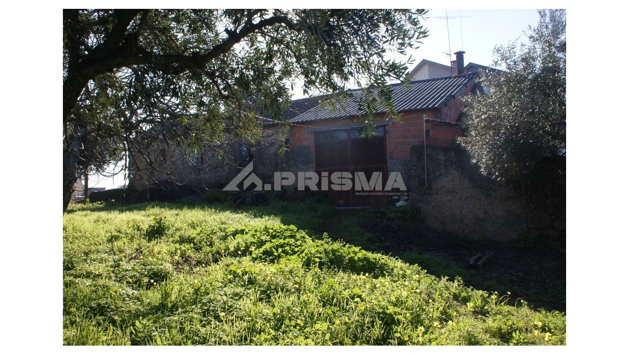 Quinta para Venda em Castelo Branco Foto 1