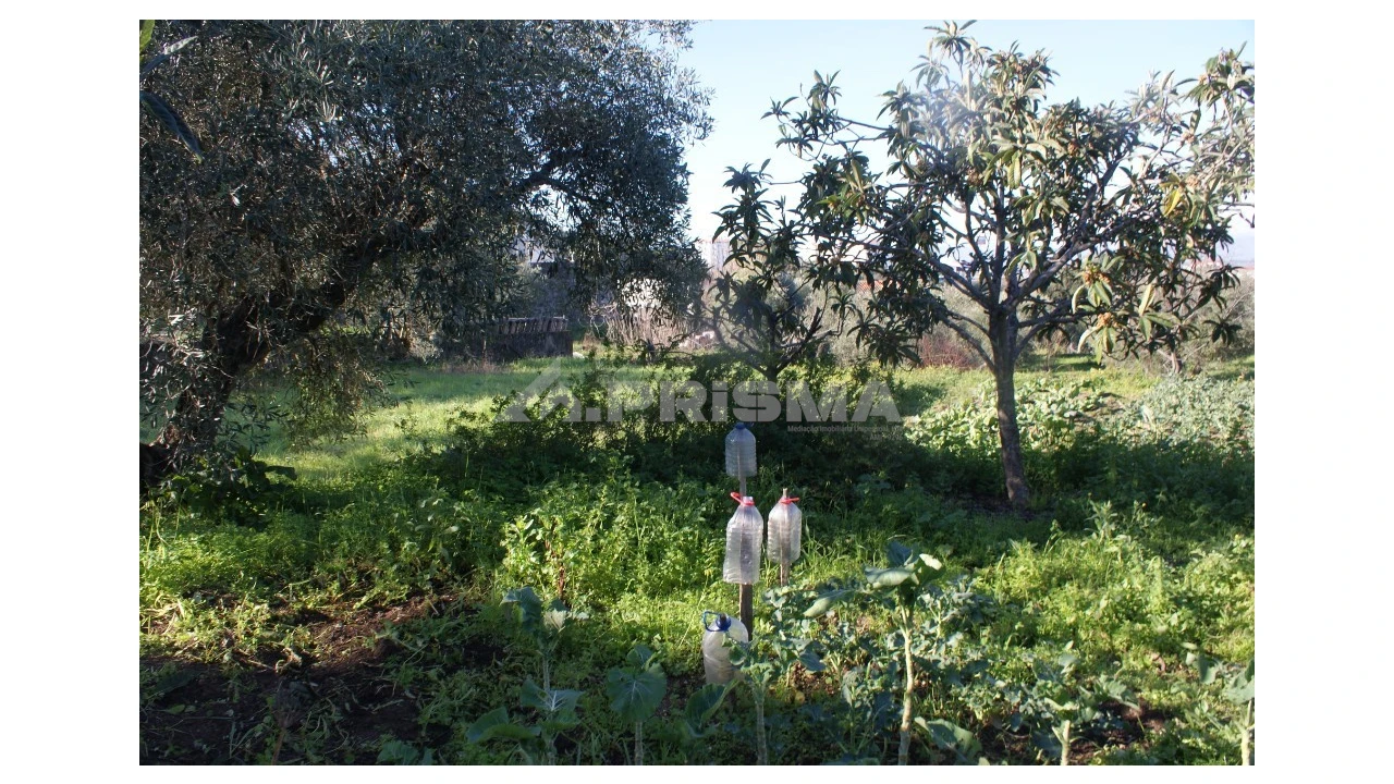 Quinta para Venda em Castelo Branco Foto 4
