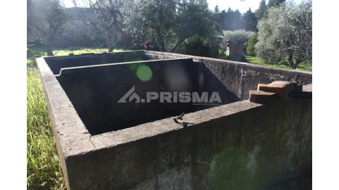 Quinta para Venda em Castelo Branco
