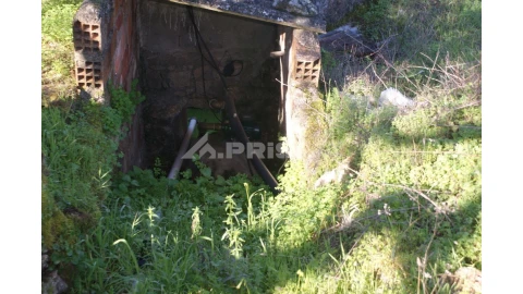Quinta para Venda em Castelo Branco