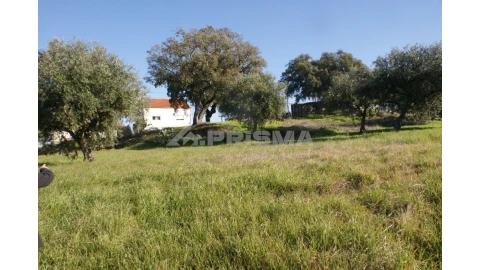 Quinta para Venda em Castelo Branco