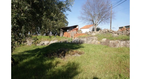 Quinta para Venda em Castelo Branco