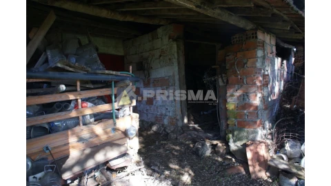 Quinta para Venda em Castelo Branco