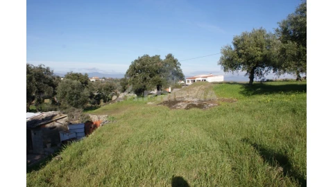 Quinta para Venda em Castelo Branco