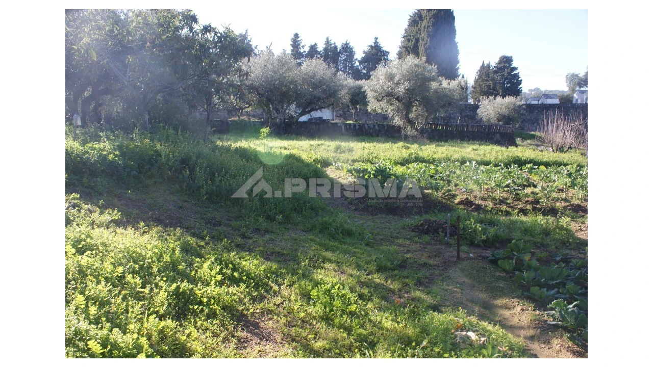 Quinta para Venda em Castelo Branco Foto 17