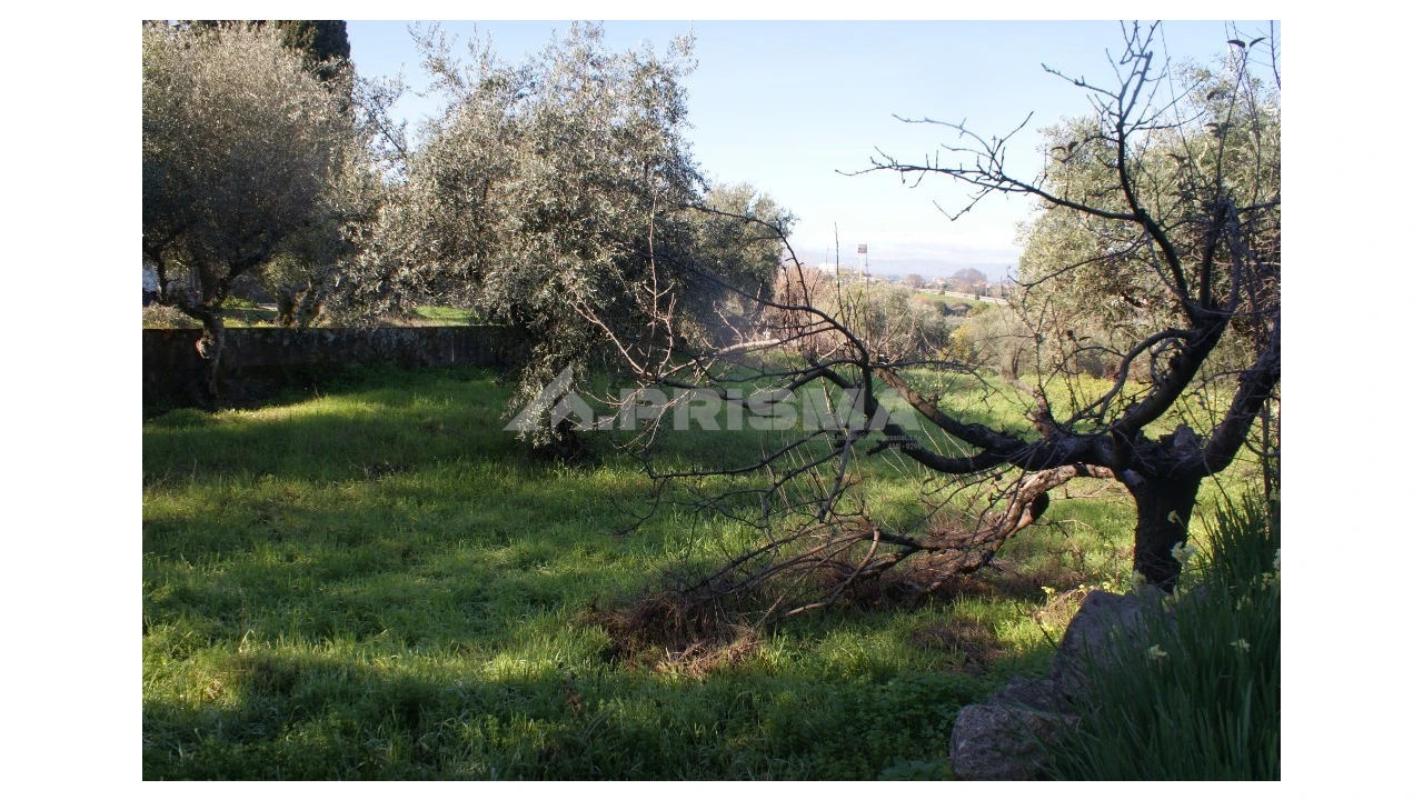 Quinta para Venda em Castelo Branco Foto 3